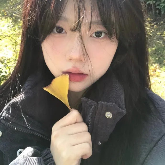 知无涯者